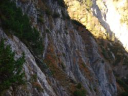 2013-10-26_Schildenstein (173).JPG